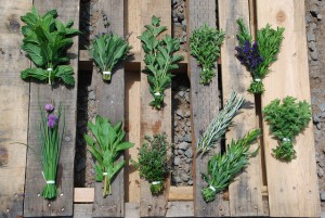 Fresh Herbs Tarragon Vinaigrette Recipe