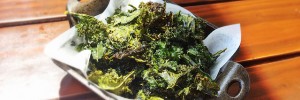 Kale Chips Recipe